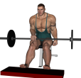Calf Raise - Single Seated Barbell